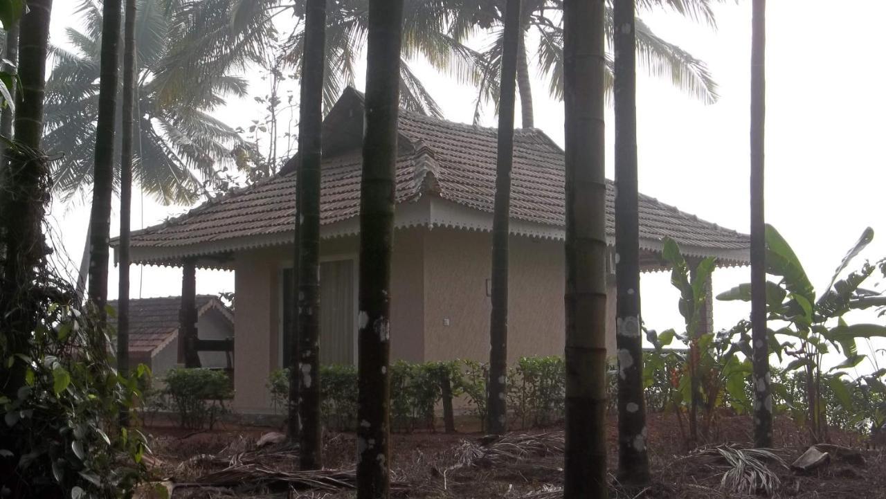 Vihangama Holiday Retreat Tirthahalli Extérieur photo